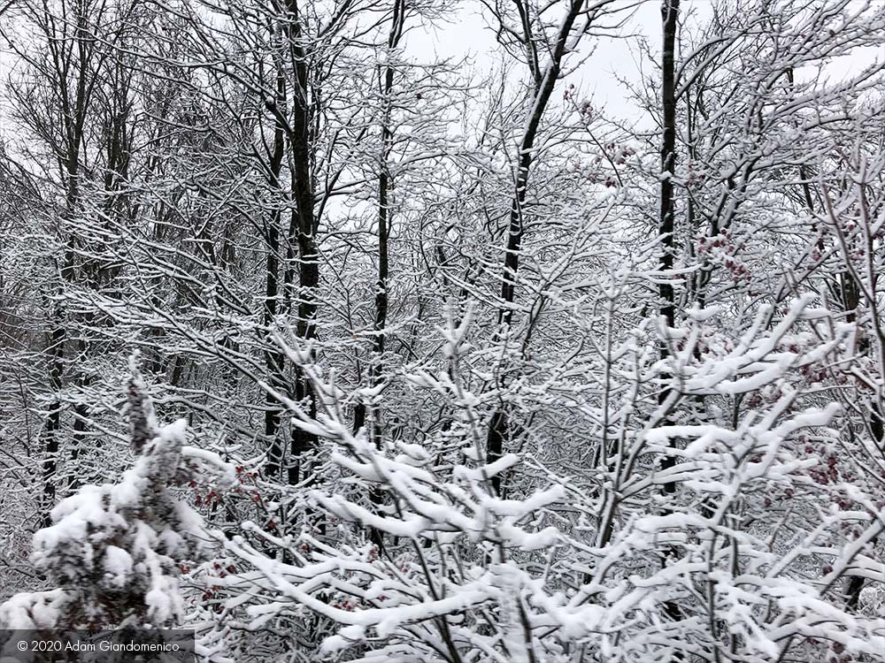 snow2